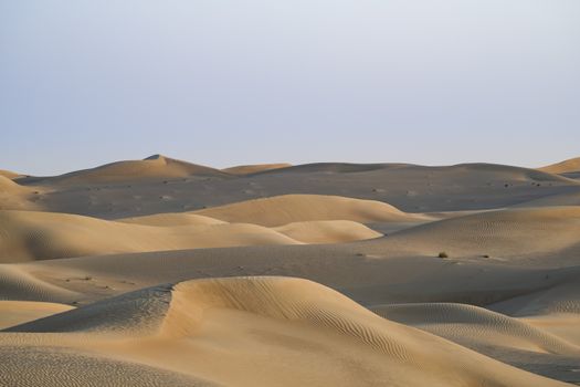 Desert lansdcape with yellow, red sand dunes