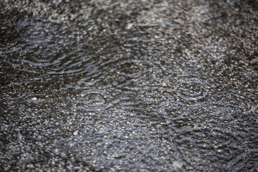 Texture of Asphalt with falling rain drops detail