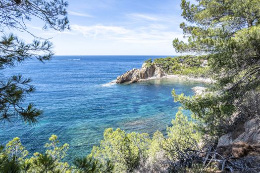 Scenic view of  "Calanque of Figuieres" (creek of Figuieres and Figuières Cove in Méjean), South of France, Europe