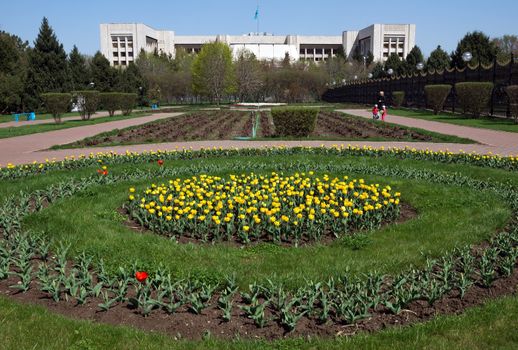 ALMATY, KAZAKHSTAN - APRIL 17, 2015: President's park in the town. Almaty is the largest city in Kazakhstan, and was the country's capital until 1997.

Almaty, Kazakhstan - April 17, 2015: President's park in the town. Almaty is the largest city in Kazakhstan, and was the country's capital until 1997. People are walking in the park.