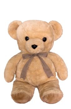 Toy teddy bear isolated on white. Clipping path included.