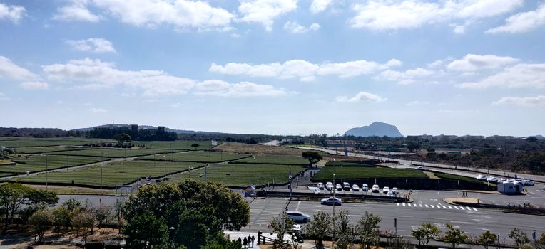 A landscape view of tea garden and Sangbang-san mountain against clear blue sky in Jeju Island, South Korea