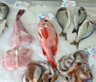 Display of fish on ice at a French fish market.