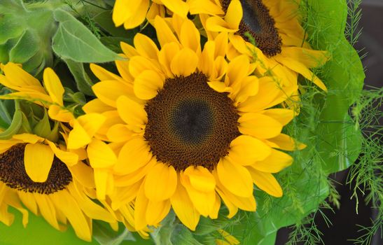 Decorative sunflowers at local farmer's market. France.