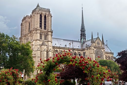 The Cathedral of Notre Dame de Paris, France