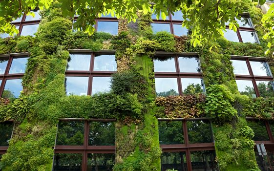 PARIS, FRANCE - JUNE 9: Quai Branly Museum on June 9, 2014 in Paris, France. The green wall on part of the exterior of the museum was designed and planted by Gilles Clement and Patrick Blanc.

Paris, France - June 9, 2014: Quai Branly Museum. The green wall on part of the exterior of the museum was designed and planted by Gilles Clement and Patrick Blanc.
