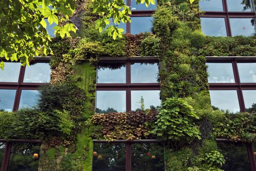 PARIS, FRANCE - JUNE 9: Quai Branly Museum. The green wall on part of the exterior of the museum was designed and planted by Gilles Clement and Patrick Blanc.

Paris, France - June 9, 2014: Quai Branly Museum. The green wall on part of the exterior of the museum was designed and planted by Gilles Clement and Patrick Blanc.