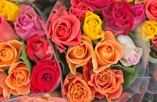 Closeup of a group of roses creating a floral background.