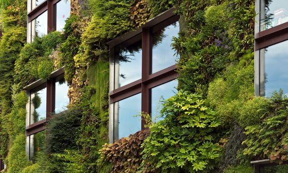 PARIS, FRANCE - JUNE 9, 2014: Quai Branly Museum. The green wall on part of the exterior of the museum was designed and planted by Gilles Clement and Patrick Blanc.

Paris, France - June 9, 2014: Quai Branly Museum. The green wall on part of the exterior of the museum was designed and planted by Gilles Clement and Patrick Blanc.
