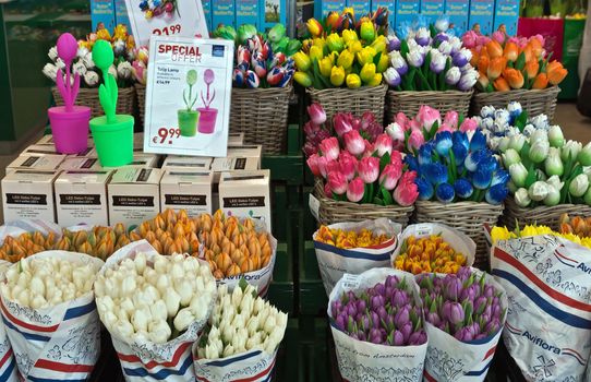 AMSTERDAM SCHIPHOL, THE NETHERLANDS - JUNE 12, 2014: Colorful tulips for sale in Amsterdam Schiphol airport.

Amsterdam Schiphol, The Netherlands - June 12, 2014: Colorful tulips for sale in Amsterdam Schiphol airport.