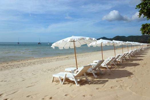 White Sandy Beach with Loungers and Umbrellas in Koh Samui, Thailand