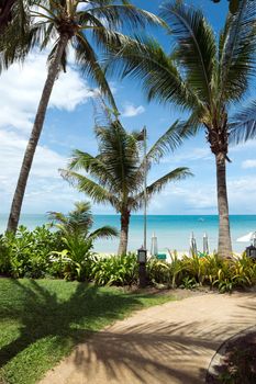View of tropical sea from the garden