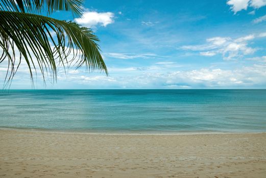 Panoramic view on the morning tropical beach
