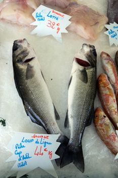 Fresh seafish on the fish market in Nice, France 