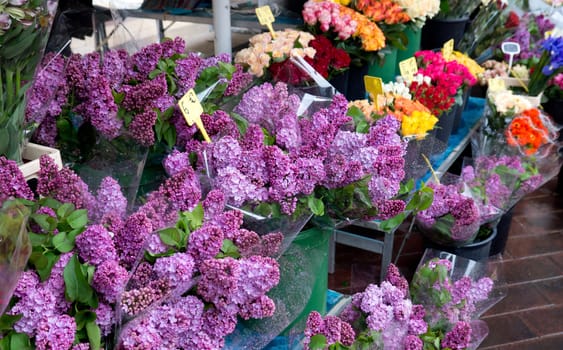 Bunches of lilac flowers on the street market