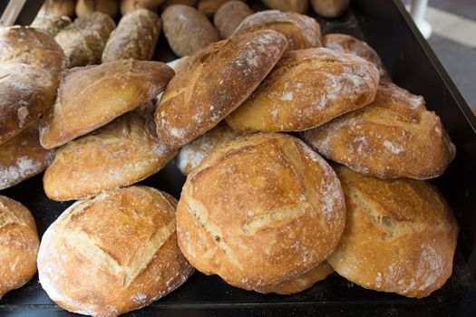 Assortment of baked bread in baking tray