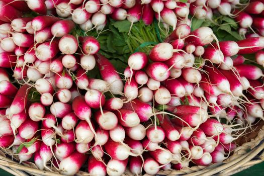 Many fresh radishes on the street market. 