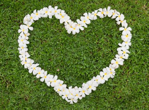 Symbol of heart made from tropical flowers on the grass
