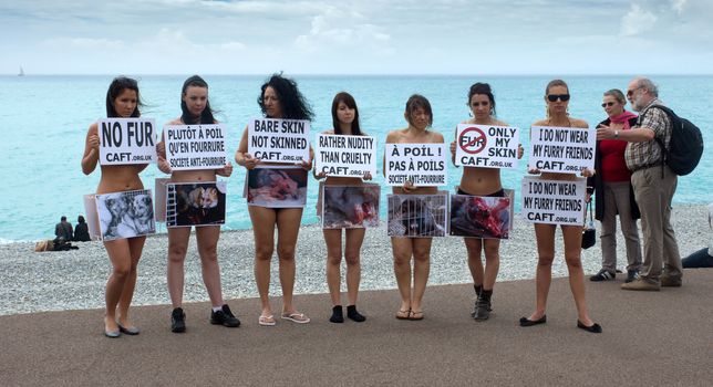 NICE, FRANCE - APRIL 27: The protest of the Green Party to protect animals from extinction at Promenade des Anglais on April 27, 2013 in Nice, France. 

Nice, France - April 27, 2013: The protest of the Green Party to protect animals from extinction at Promenade des Anglais.