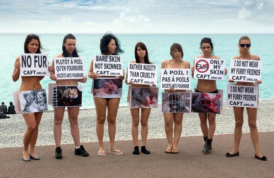 NICE, FRANCE - APRIL 27: The protest of the Green Party to protect animals from extinction at Promenade des Anglais on April 27, 2013 in Nice, France. 

Nice, France - April 27, 2013: The protest of the Green Party to protect animals from extinction at Promenade des Anglais.