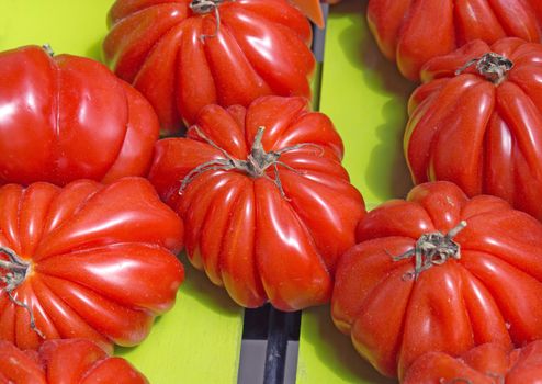 Ripe tomatoes at a farmer's market
