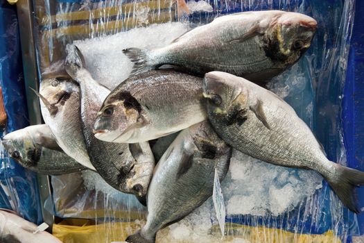 Fresh seafish on the fish market in Nice, France