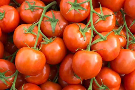Many fresh tomatoes on the street market. 