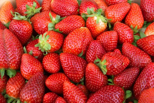 Fresh strawberries at a farmers market in France