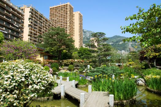 Japanese garden of Monaco, with a pond and Monte Carlo buildings behind. 