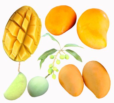 Set of ripe delicious mangoes yellow and green on white background. 