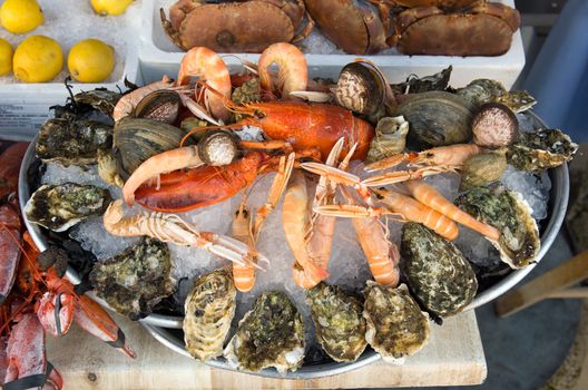 Showcase of seafood in the sea market. Nice, France.