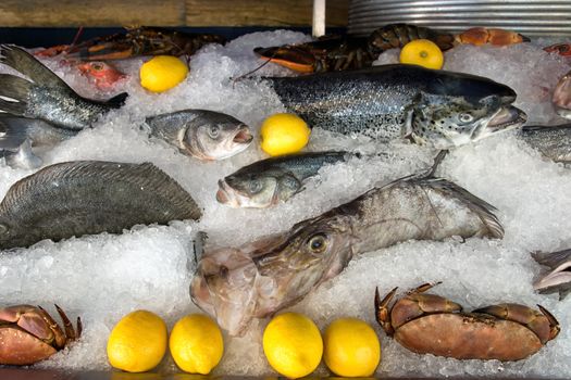 Seafood on ice at the fish market 