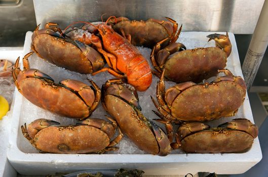 Showcase of seafood in the sea market. Nice, France.