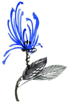 Watercolor and ink illustration of blue flower with leaves. Oriental traditional painting in style sumi-e, u-sin and gohua.