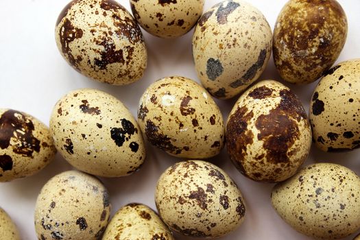 A lot of Quail Eggs on white