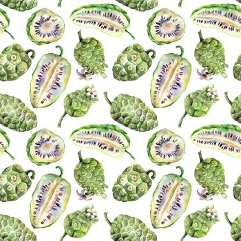 Watercolor painted illustration of noni fruits - complete and cropped fruits. Set of illustrations on white background. Seamless pattern.