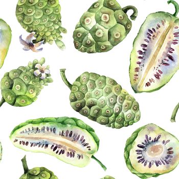 Watercolor painted illustration of noni fruits - complete and cropped fruits. Set of illustrations on white background. Seamless pattern.
