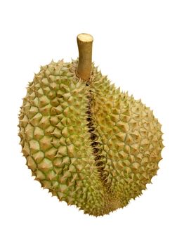 King of fruit - durian isolated on white. Clipping path included.
