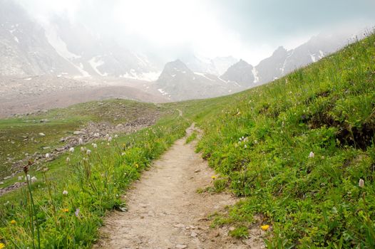 The trail to the glacier in the Alps during the summer season