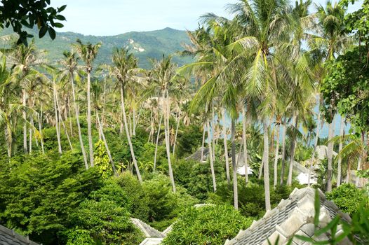 Traditional Village in Jungle in the Samui Island, Thailand