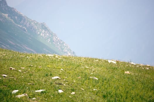The valley in the Alps in the summer season