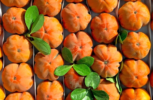 Persimmon fruit background on a street market 