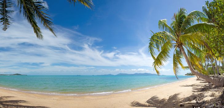 Wide view of tranquil tropical island beach