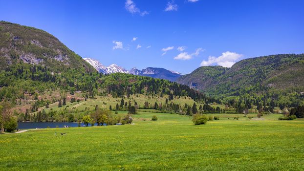 Colorful summer on the Stara Fuzina village in Triglav national park Slovenia, Julian Alps, Europe.