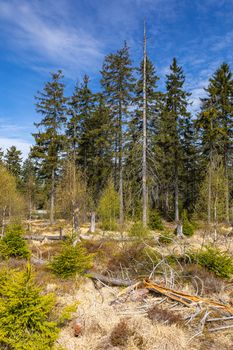 Stolowe Mountains National Park in Kudowa-Zdroj, Poland. A popular destination for trips in Poland.