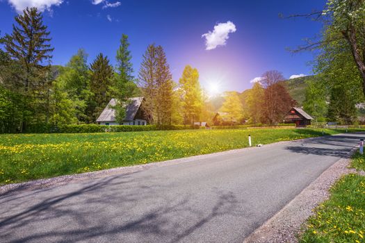Landscape view of one wooden rural cottage on green meadow surrounded with green forest. Summer in Bohinj, Stara Fuzina, Slovenia,Europe.