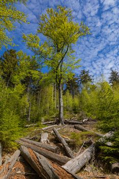 Stolowe Mountains National Park in Kudowa-Zdroj, Poland. A popular destination for trips in Poland.