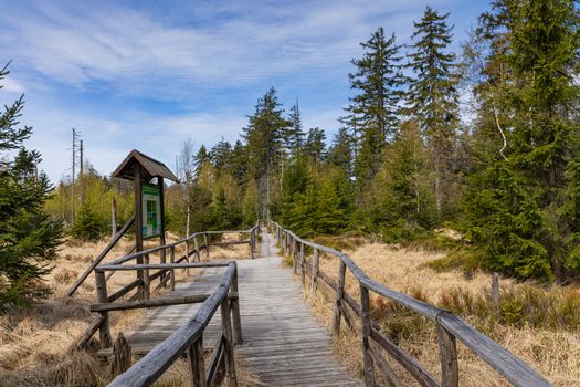 Stolowe Mountains National Park in Kudowa-Zdroj, Poland. A popular destination for trips in Poland.