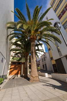 Santa Cruz, capital city of the island La Palma. Traditional architecture. Canary Islands, Spain.