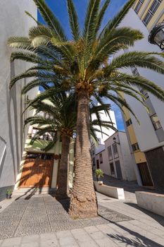 Traditional architecture at Santa Cruz - capital city of the island of La Palma, Canary Islands, Spain.